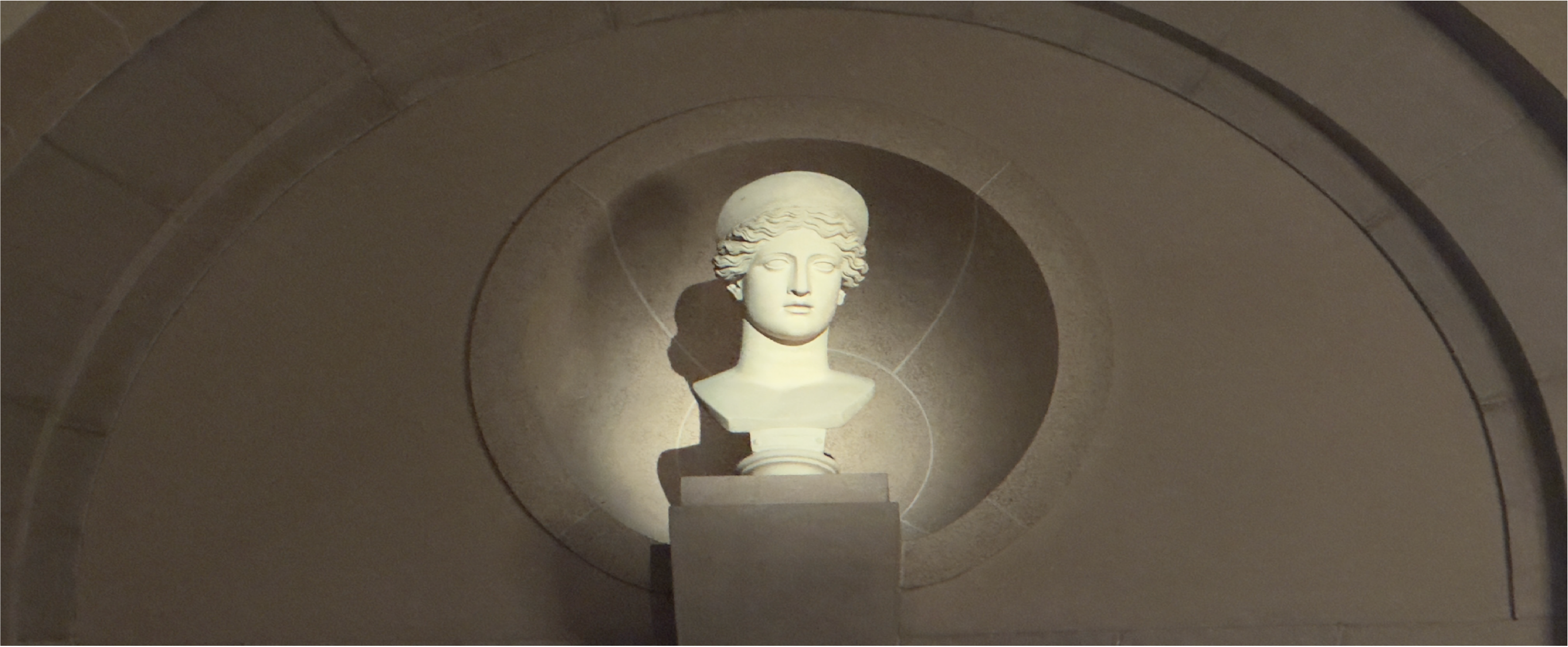 Museum Head Background